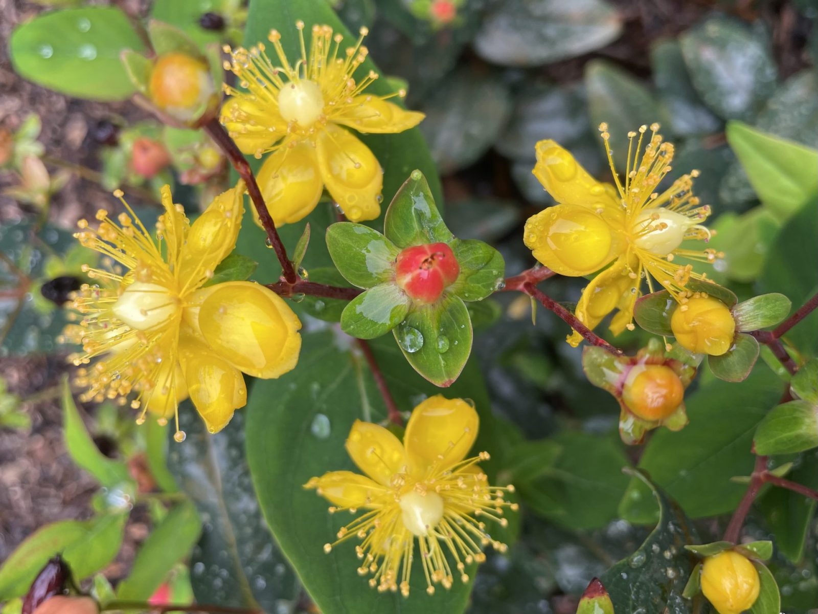 0A542BE1-329A-434F-BCA6-58670B40126A