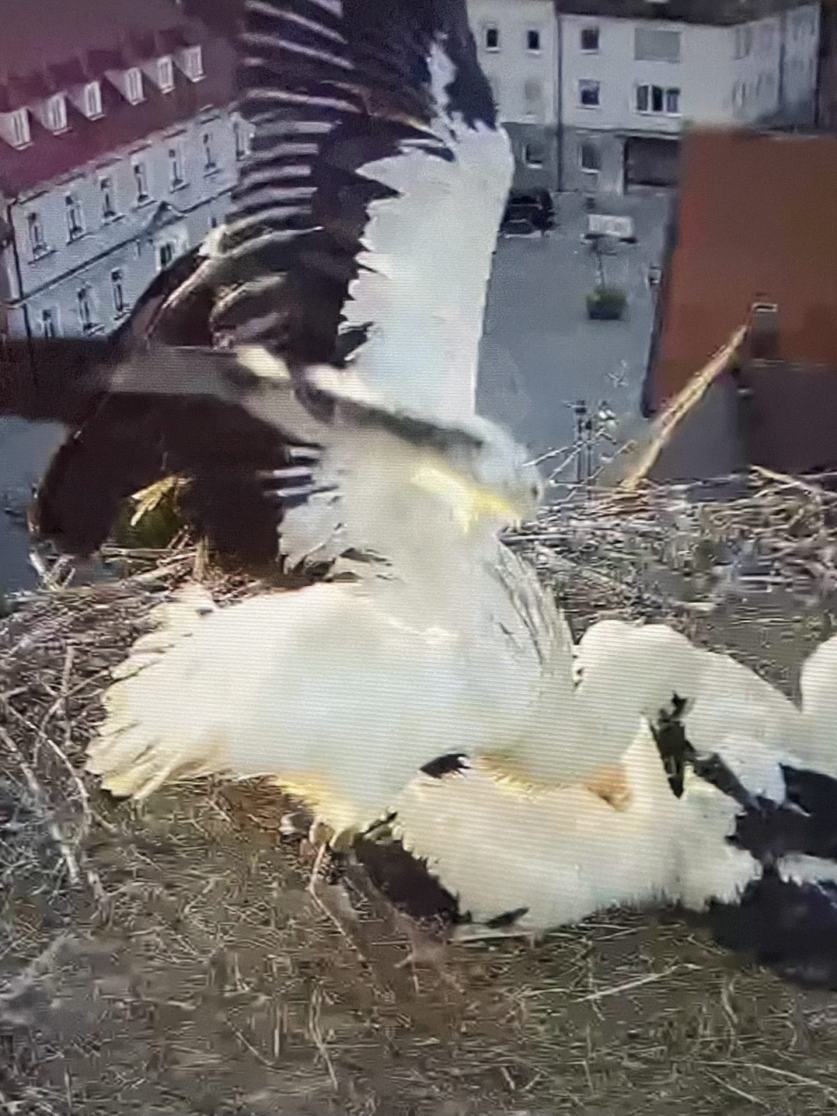 0A560BB0-AF94-4242-93AD-4924A0854560