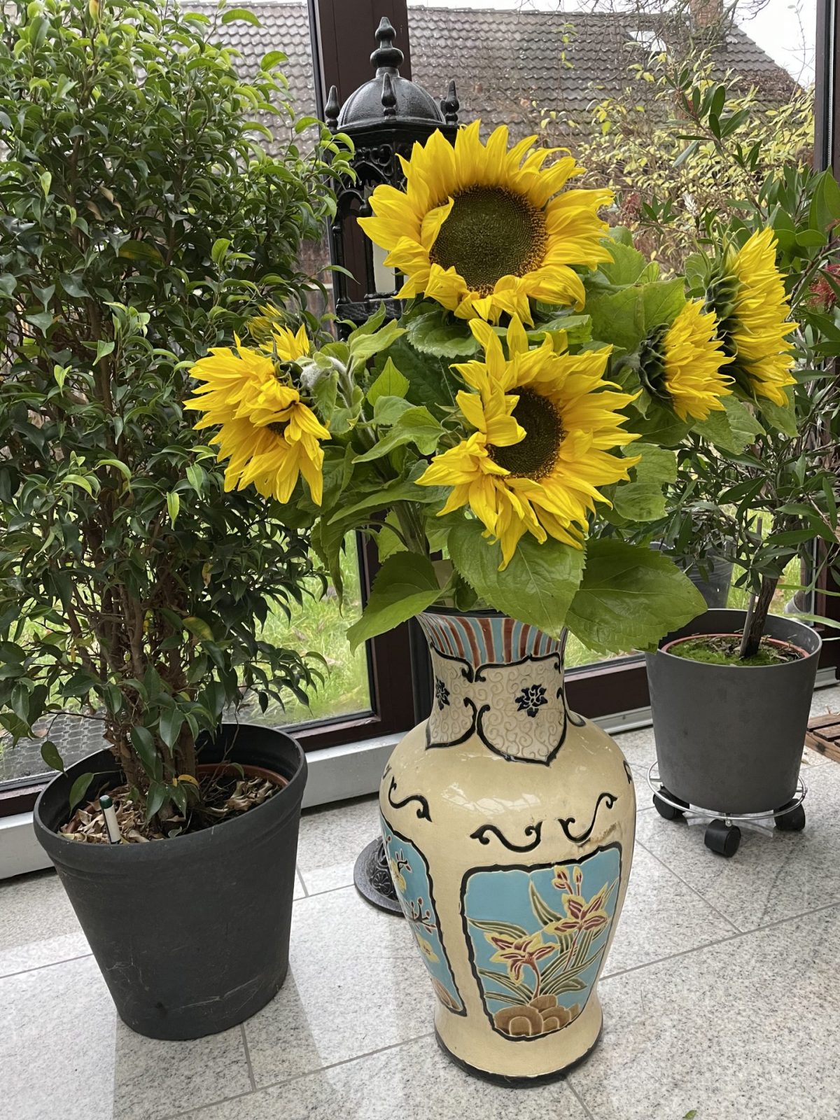 0A5B3F13-A5BF-4BB4-B352-ADF79053213F