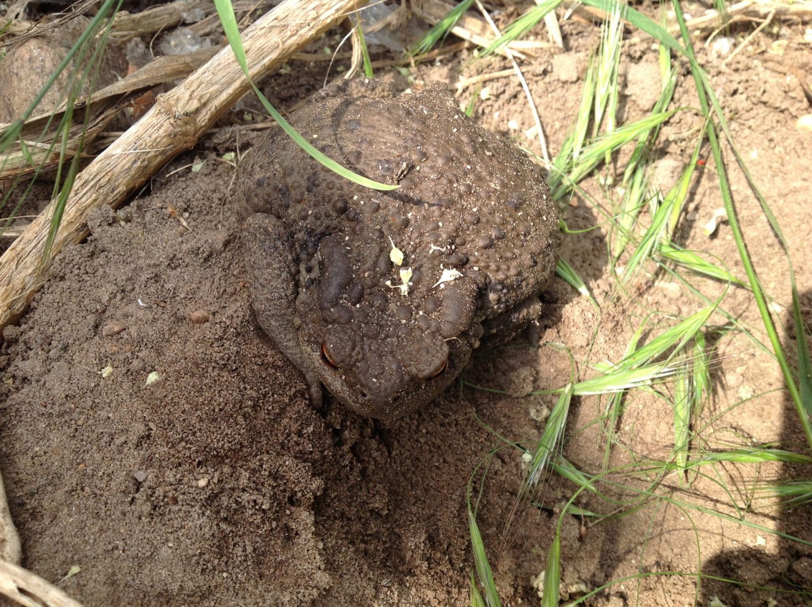 0A7F69E2-71ED-4882-9D34-C64C205BD04D