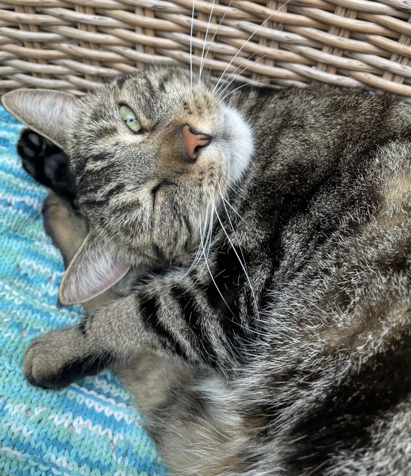 0A906E00-8FE3-42D2-A4C3-1466B35A5A59