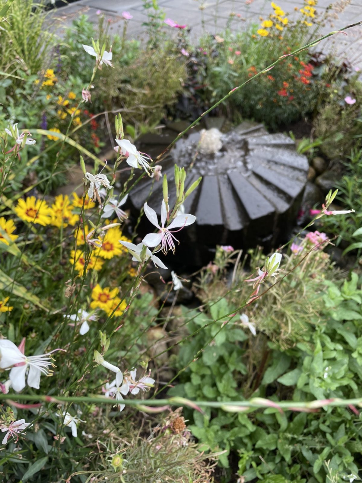 0AB9C7B8-7277-480F-B643-1C1CABC544CE