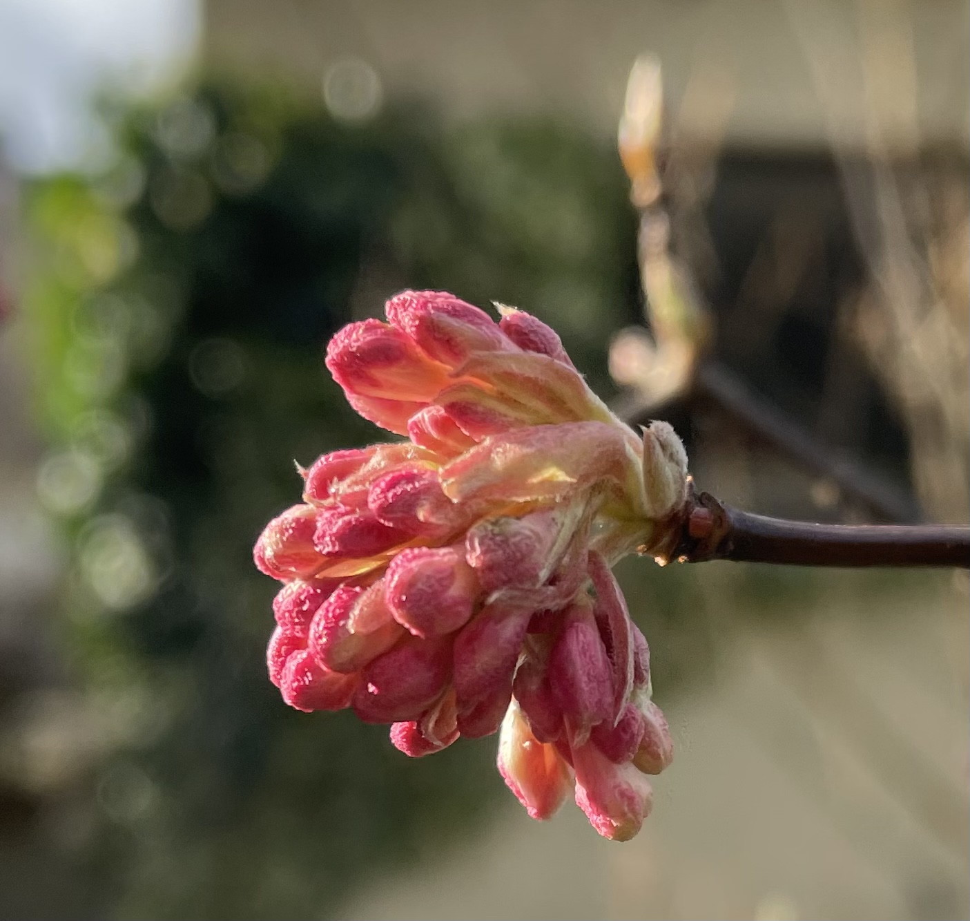 0B3980DB-83E8-4A14-81DB-19D5145AD24A