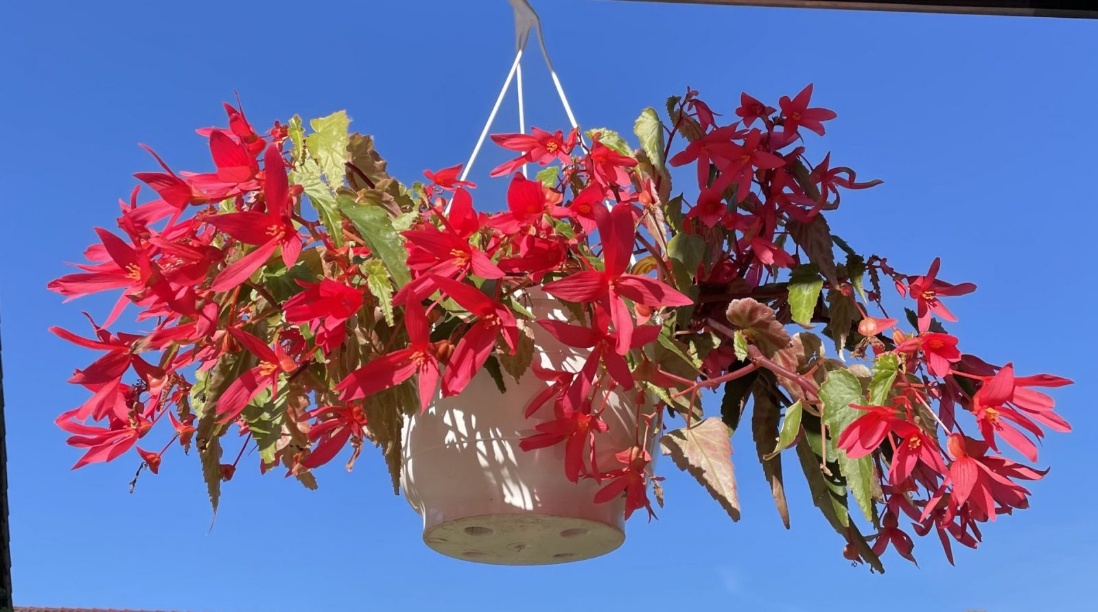 0B597F87-FF2A-42DF-95A5-EF2294D266E8