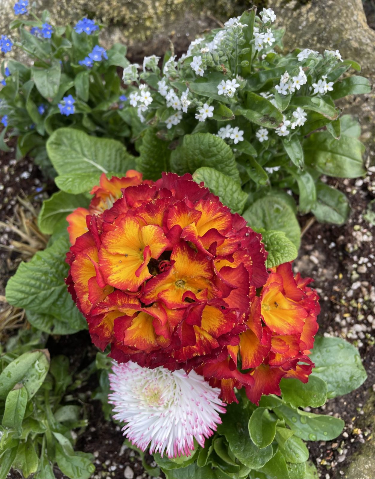 0B5C2A92-0721-4406-9B0D-C61EF5D70656