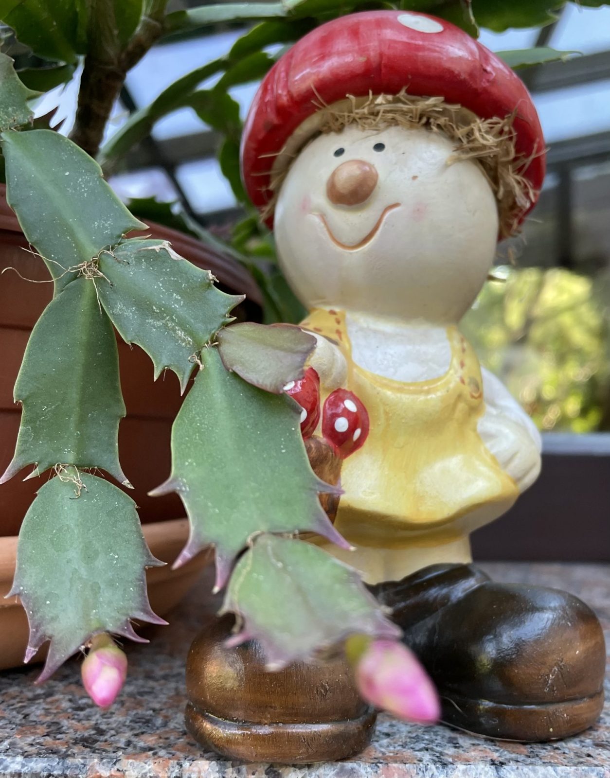 0BFC3609-7048-47E2-AC8F-0B91C552A246