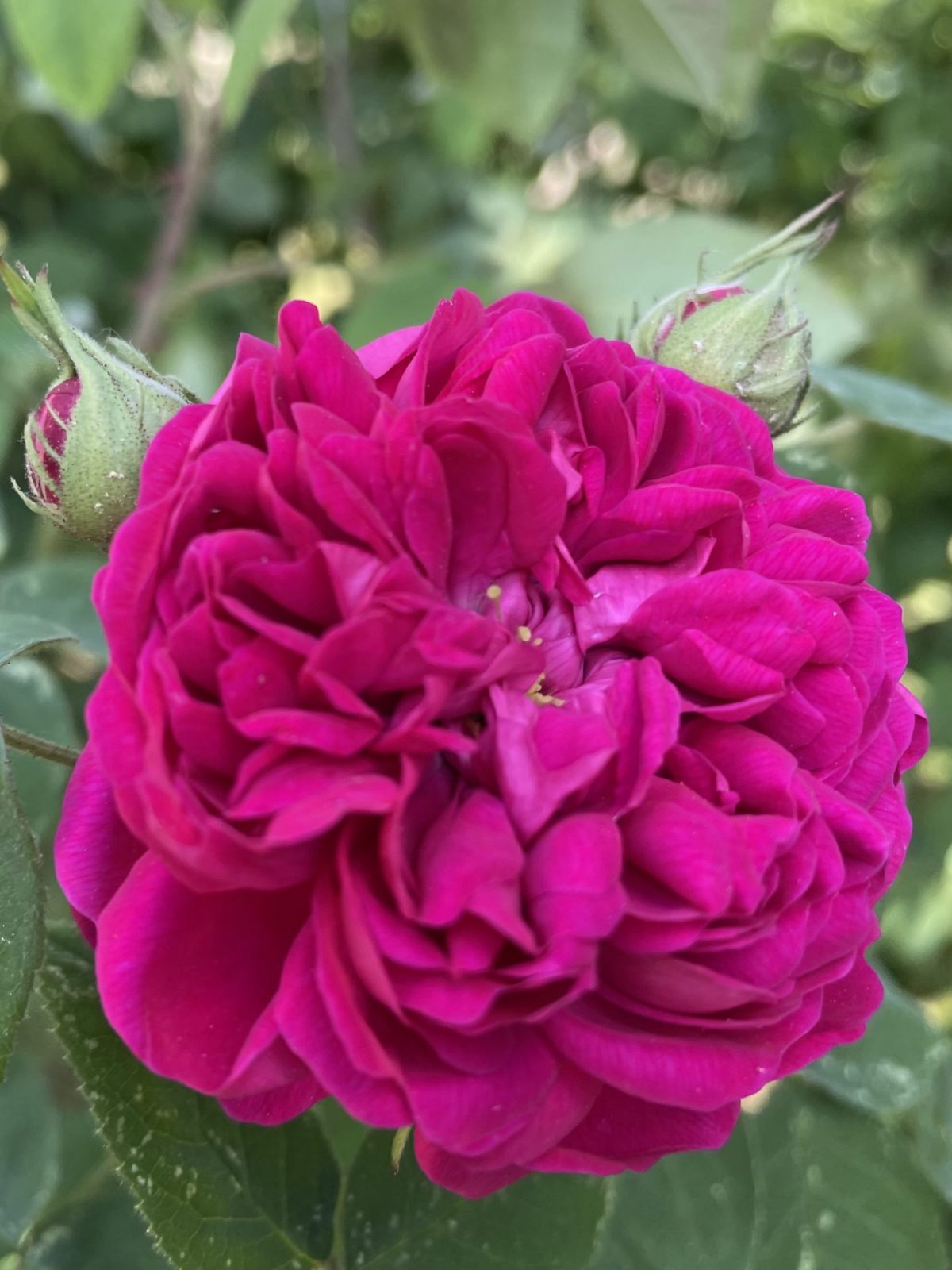 0C30EAD1-EFF2-4721-98C9-1D2FC8F65843