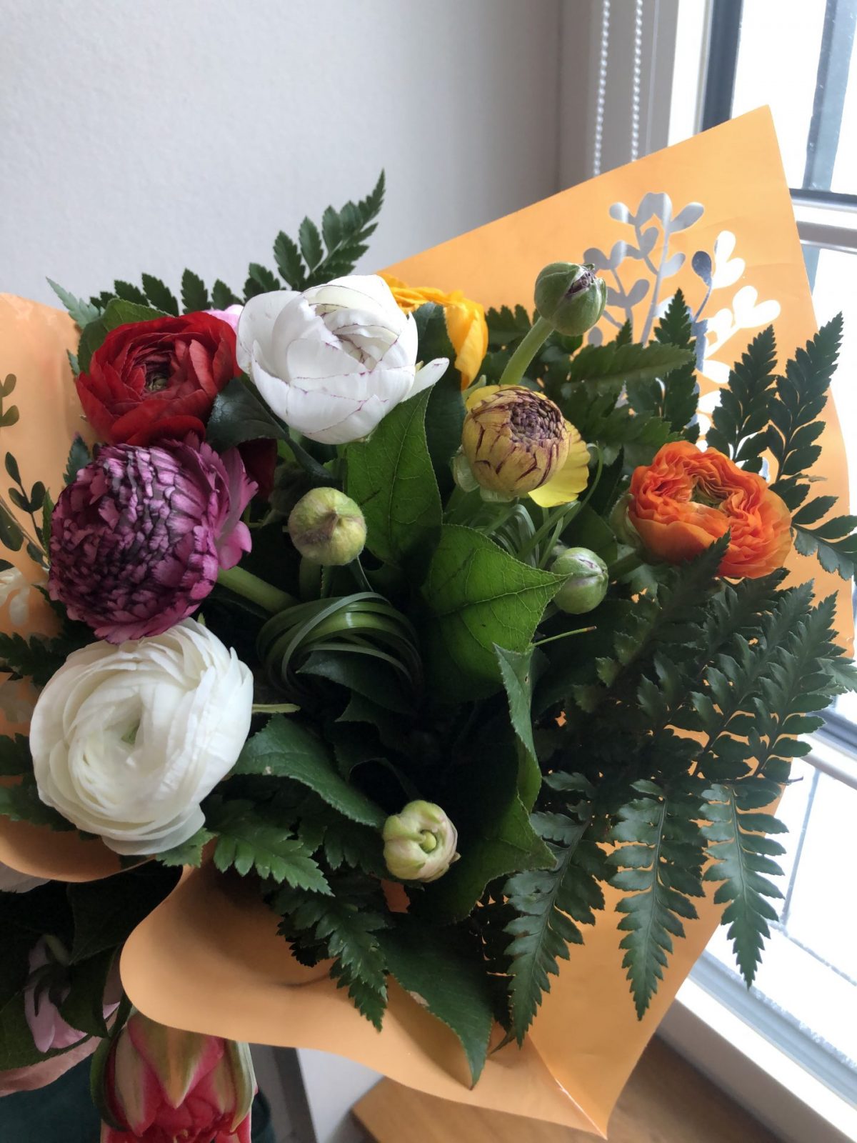 0CB9AD77-AF45-463E-917A-00B09C463FC9