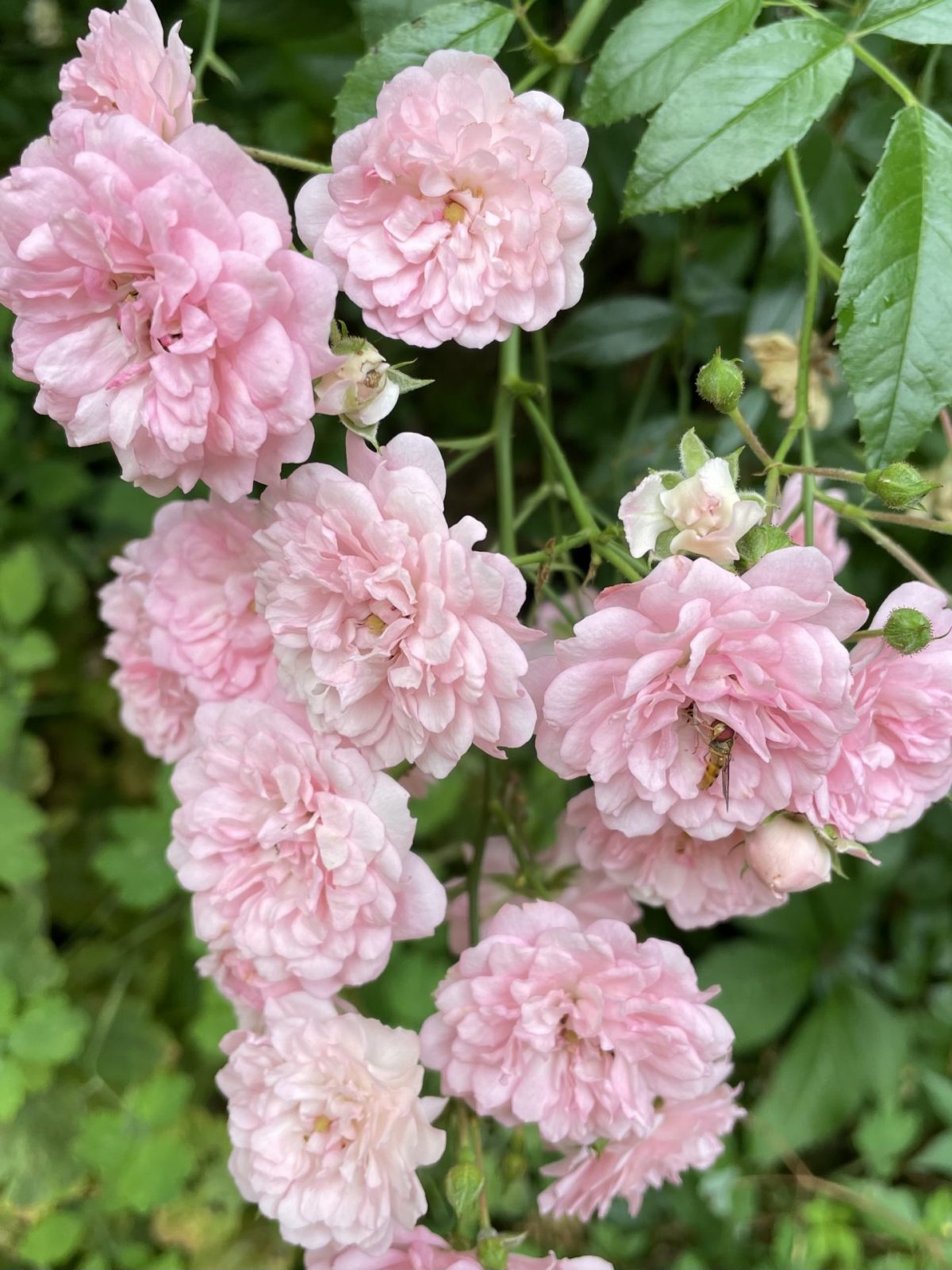 0D54009C-DF8B-435C-B080-CA72DA31600D