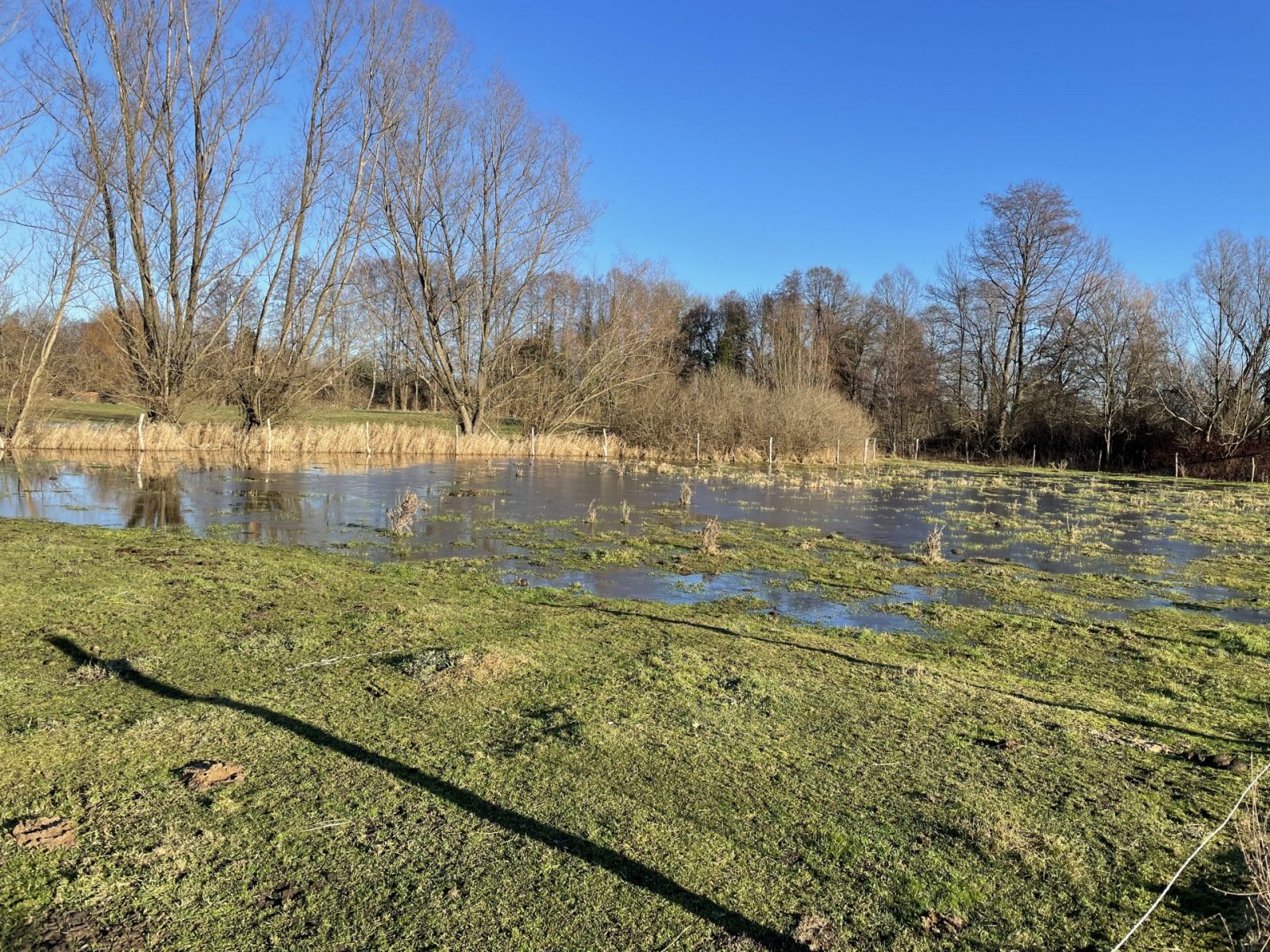 0DF08FFA-3A26-4E09-811E-749D6D74661B