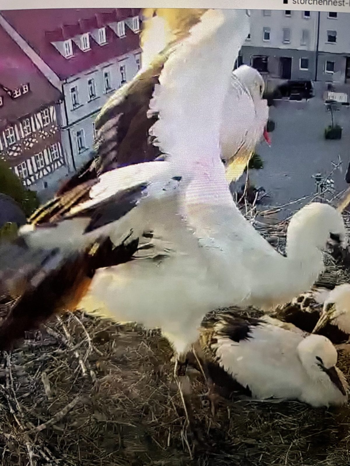 0E34B2F6-5E30-43CC-B3E7-A42EB0153F8F