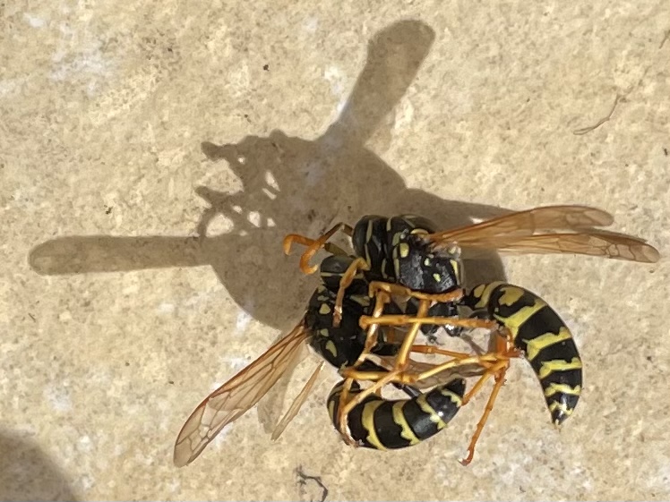 0E8A5A37-3FE0-4A4C-9A28-3D76830B09AA