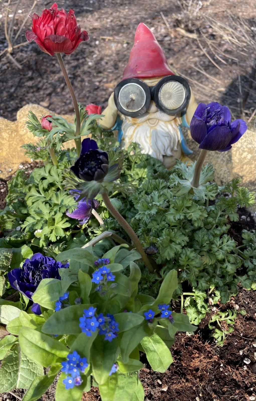 0EA3C12C-B9EC-4858-993C-DB771A18C4F2