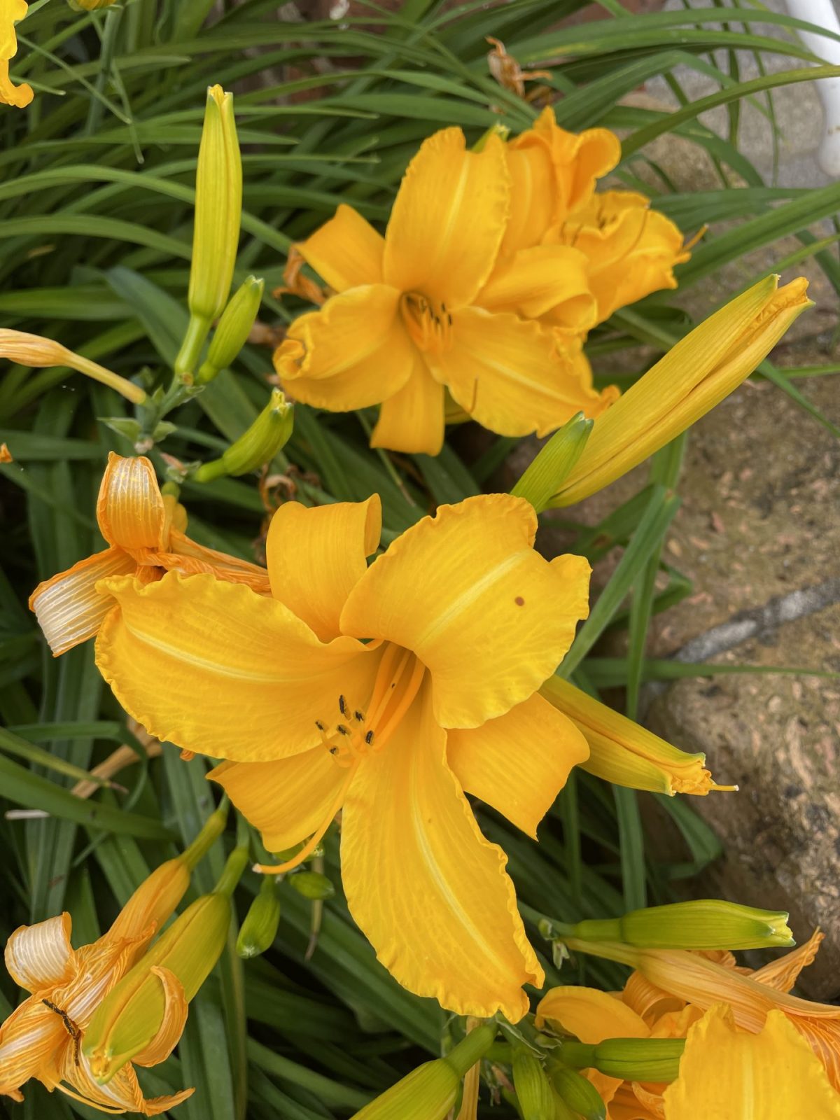 0ECA32E0-B703-4DE2-A57D-9616E485B5D4