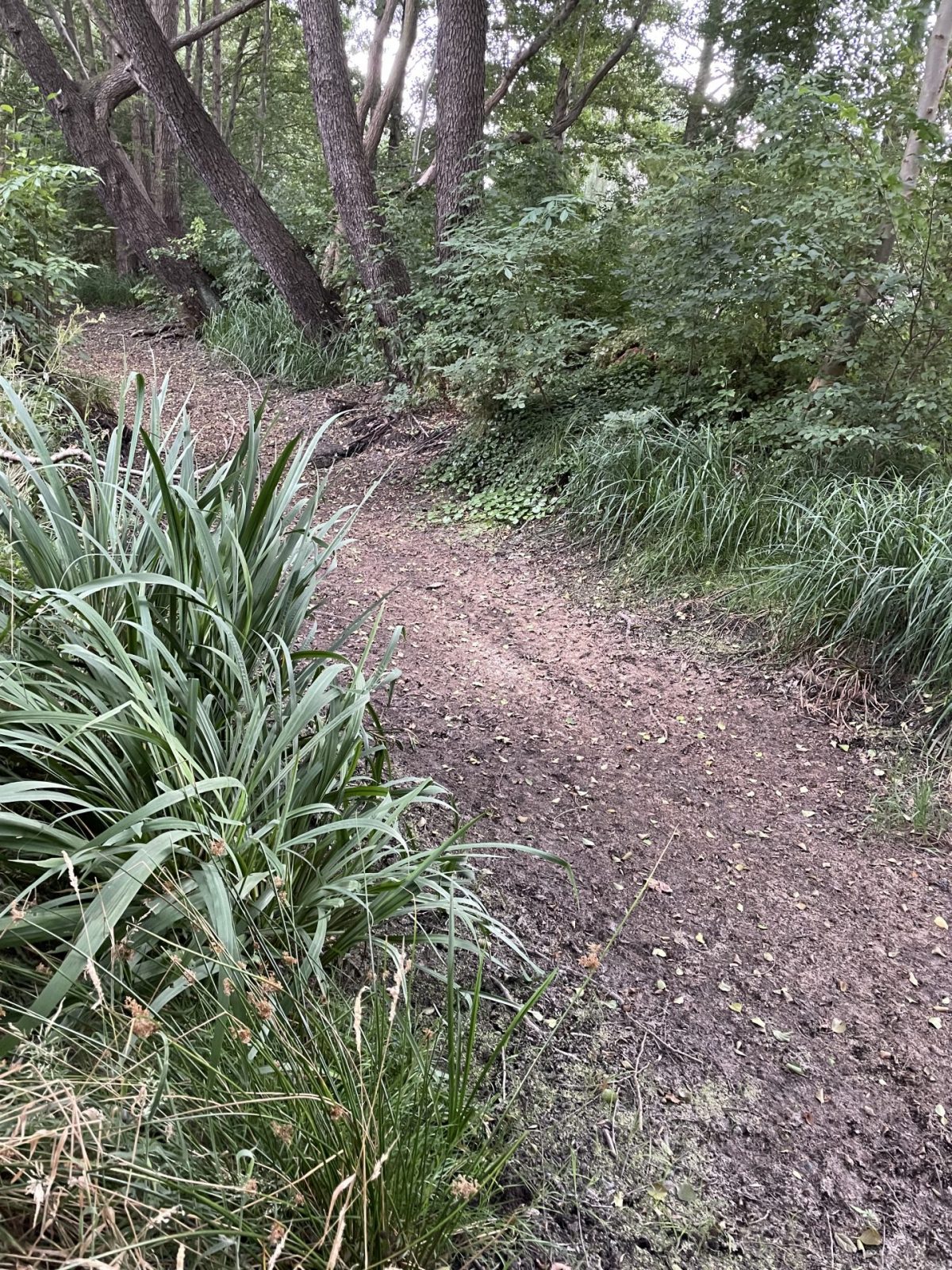 0ECF5C16-DE3D-4A51-8306-2860B899DCBD