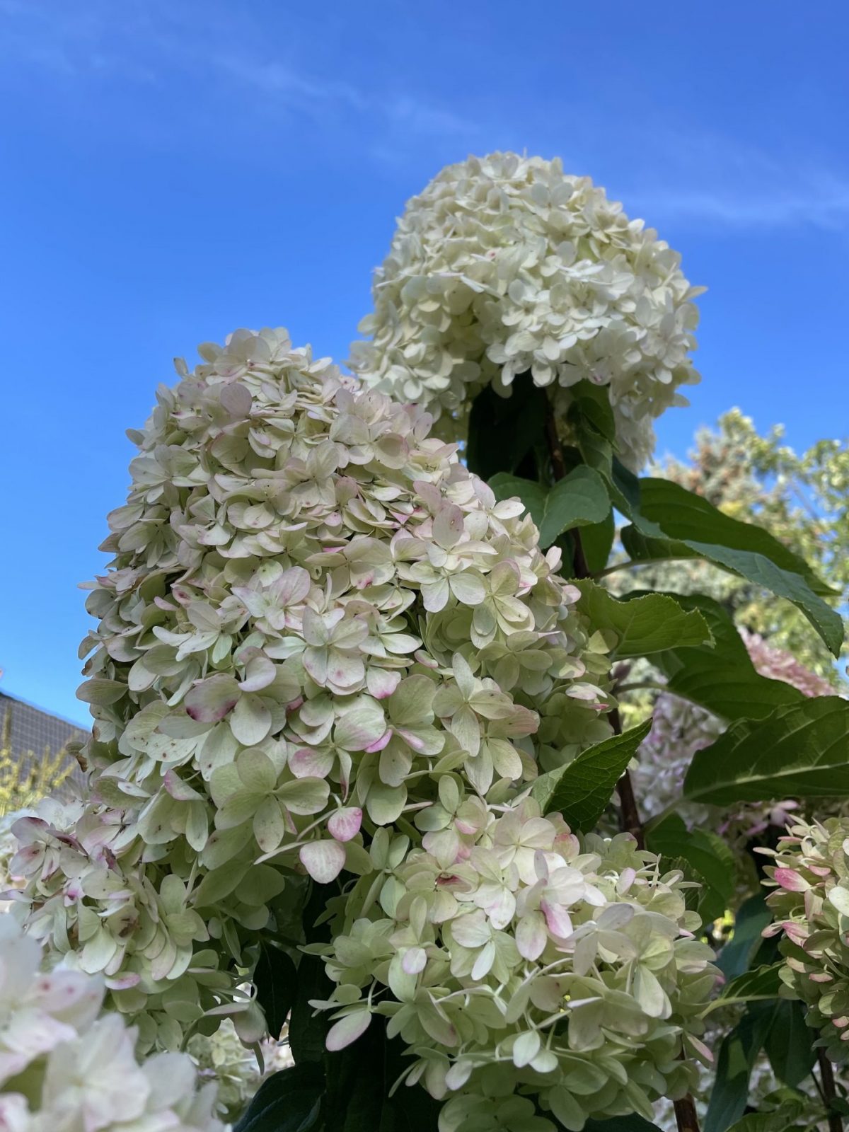 0F61DC95-0BC3-42B7-B68B-287138C864A2