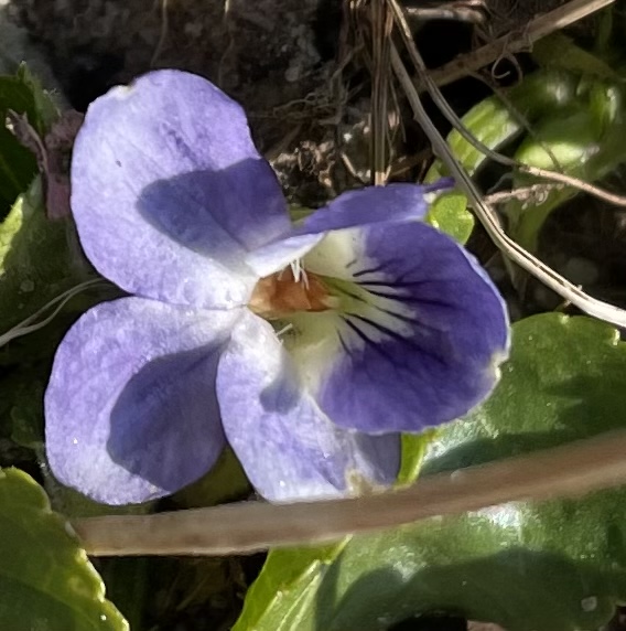 0F94221F-69F1-4860-9A24-6C657ACD6F0E