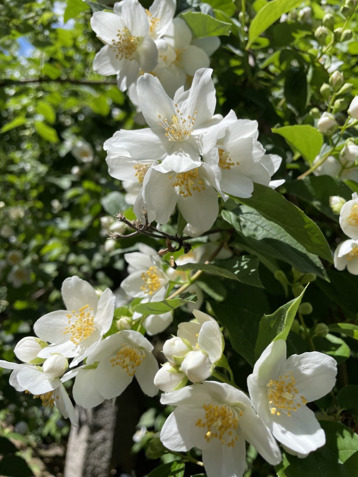 0F97B5F9-6159-405B-94BC-0FB362345073