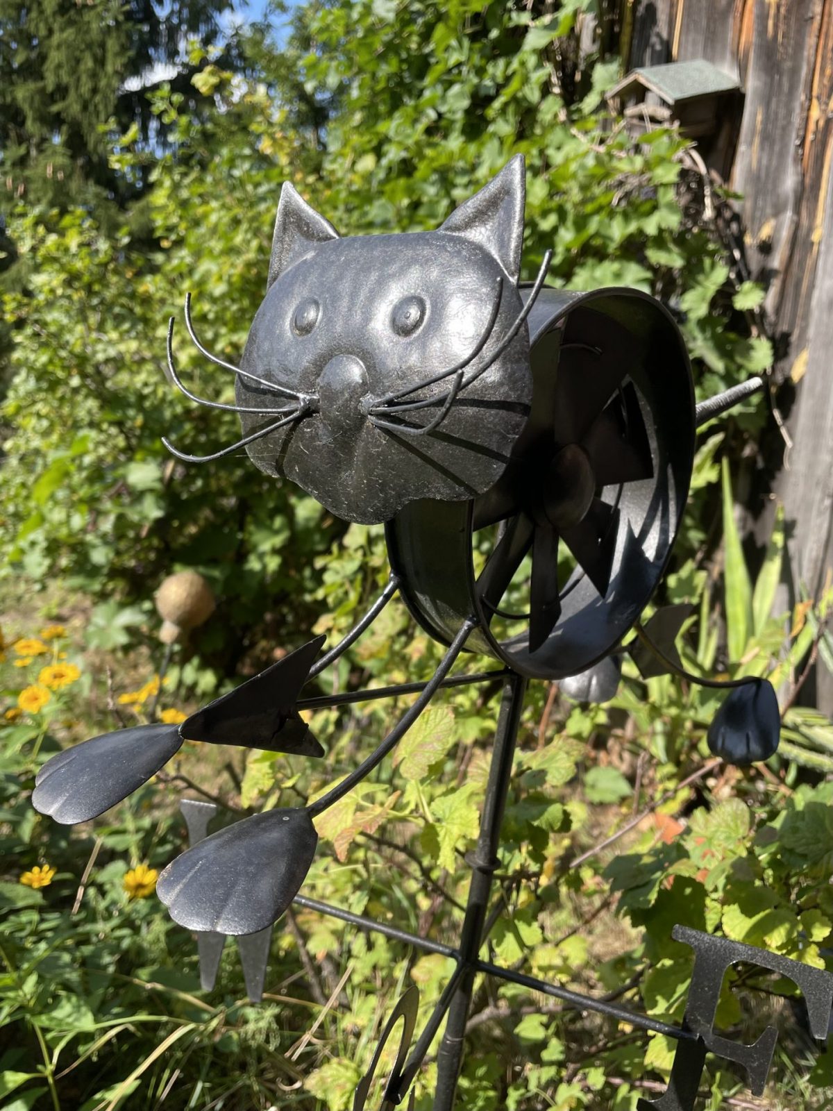 0F9D04C9-7D63-49B3-92EA-A5066876F7ED