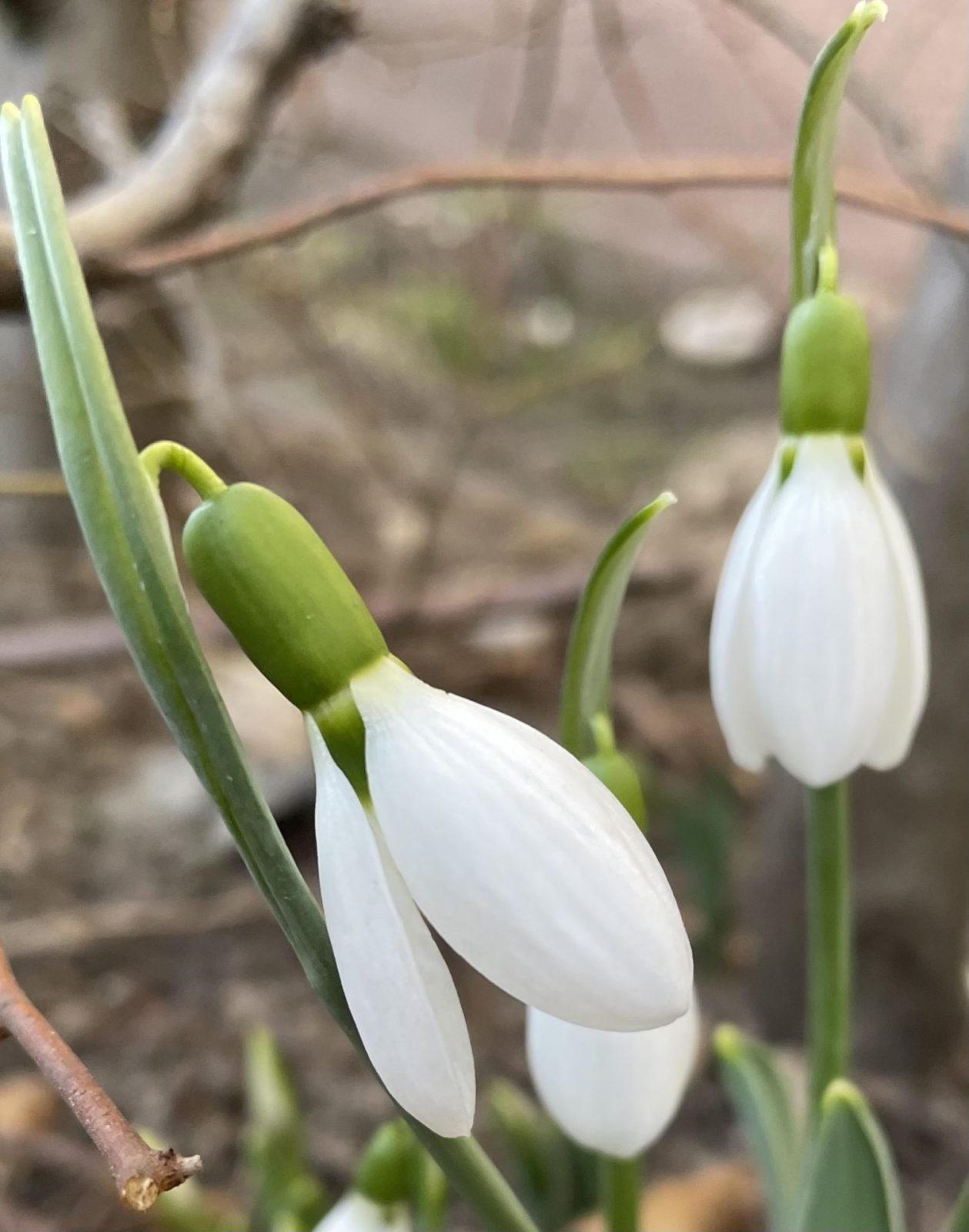 0FB769B7-A92D-4682-9EEE-5506AAE2ED27