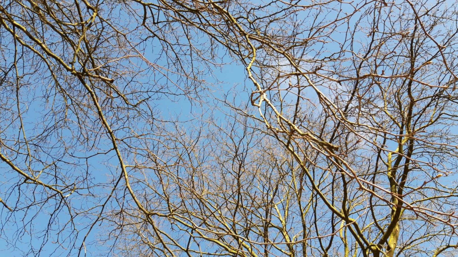 0a72e287-b032-4e50-829c-4ef7033a8a38