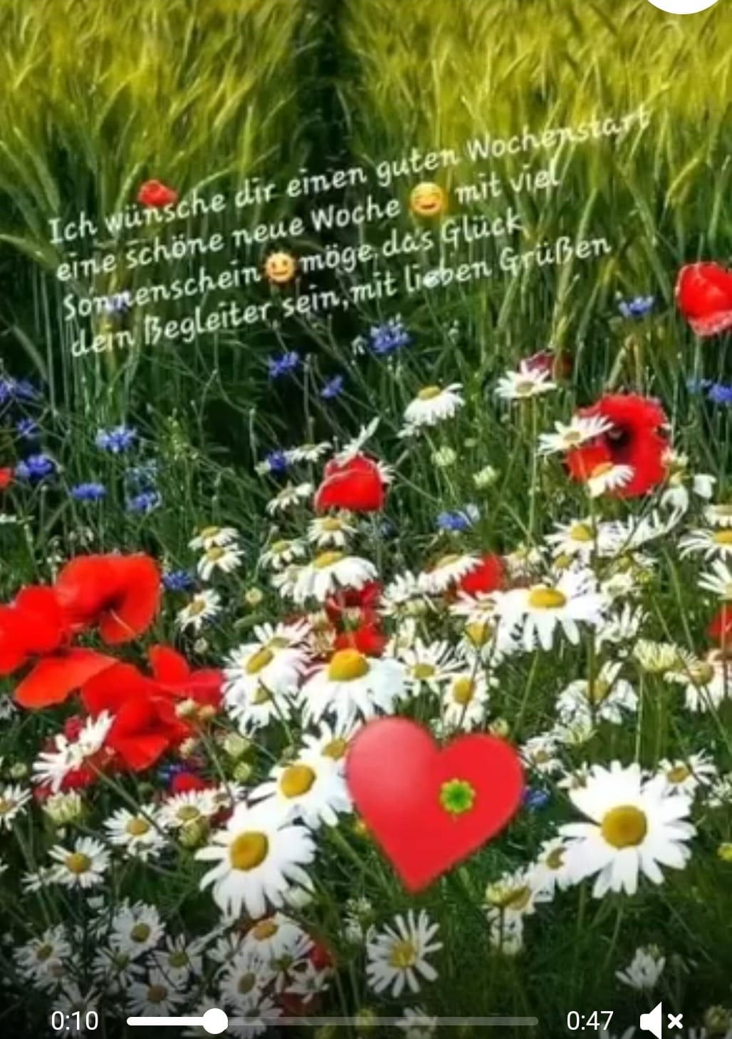 0a91d182-66b1-4a9f-97e7-7e6158149932