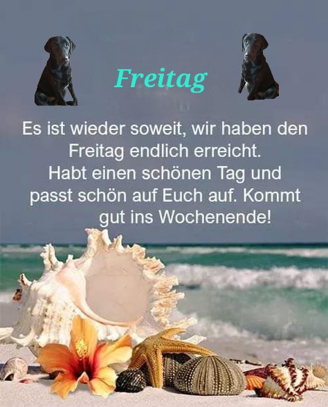 0e1fcd83deb7a56f0bfc84c5a06c5257