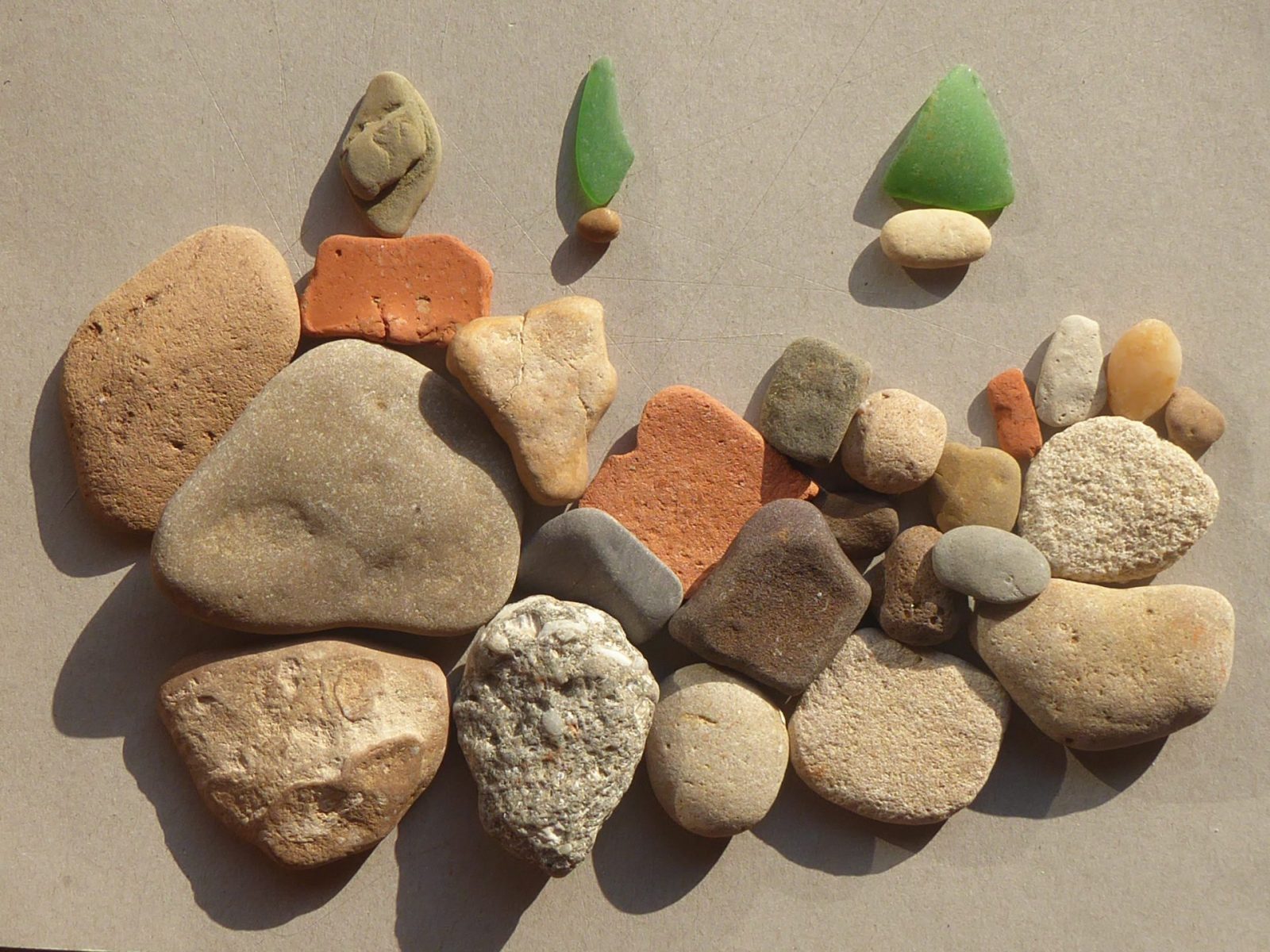 1.7.2019 Besuch eines Schmetterling (32)