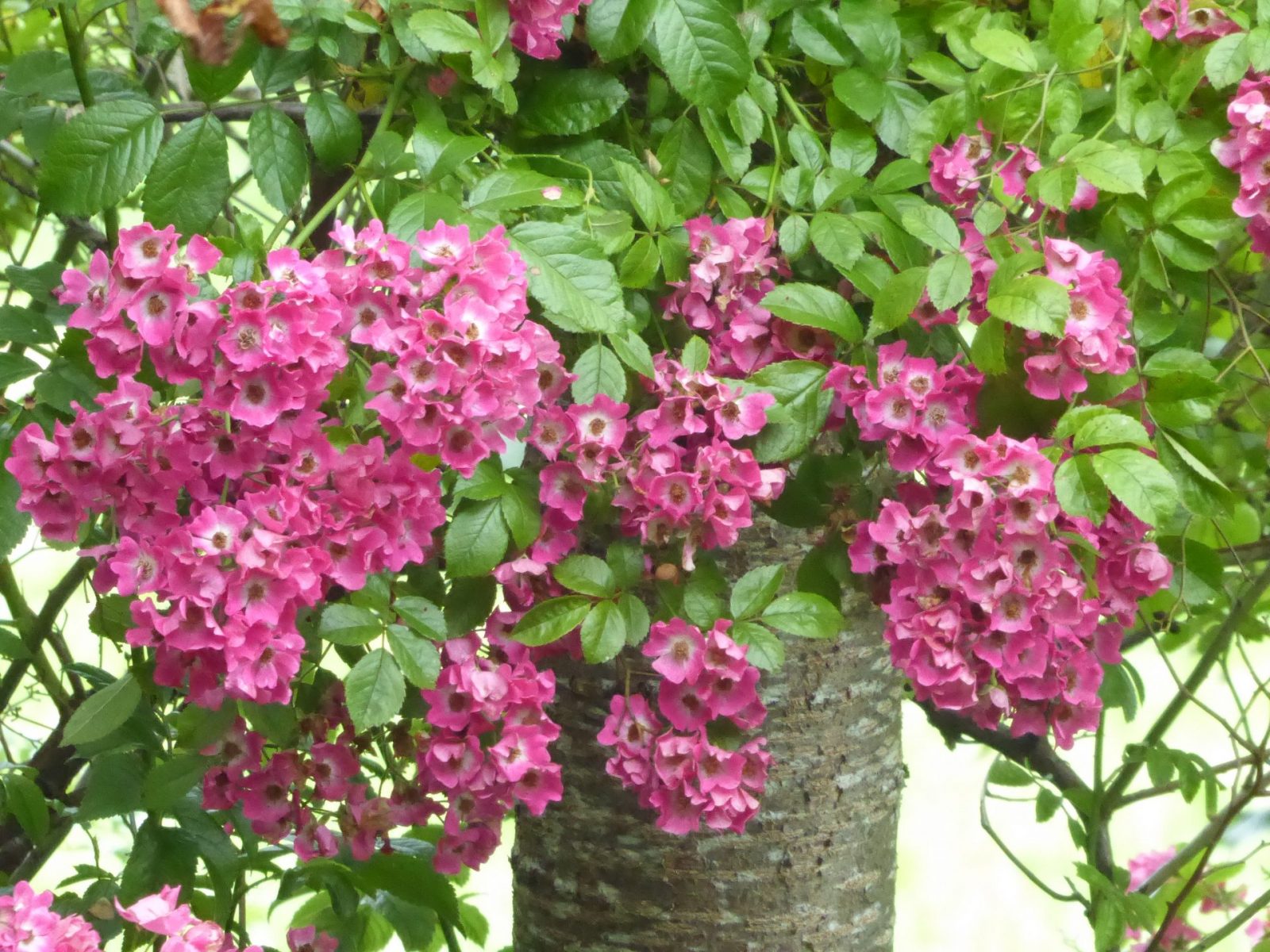 1.7.2022 zweites Halbjahr beginnt (8)