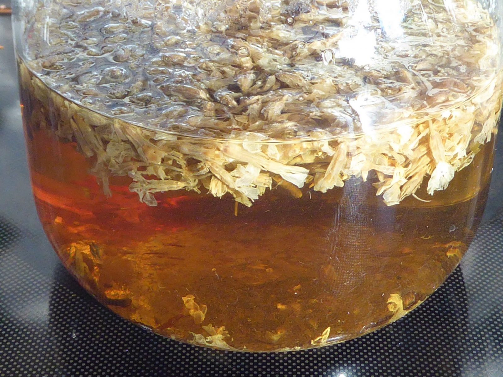 1.9.2022 Anti- Kriegstag (5)