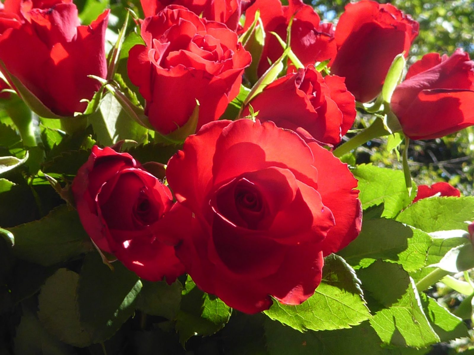 10.+11.8.2022 Babyboy ist da.. (128)