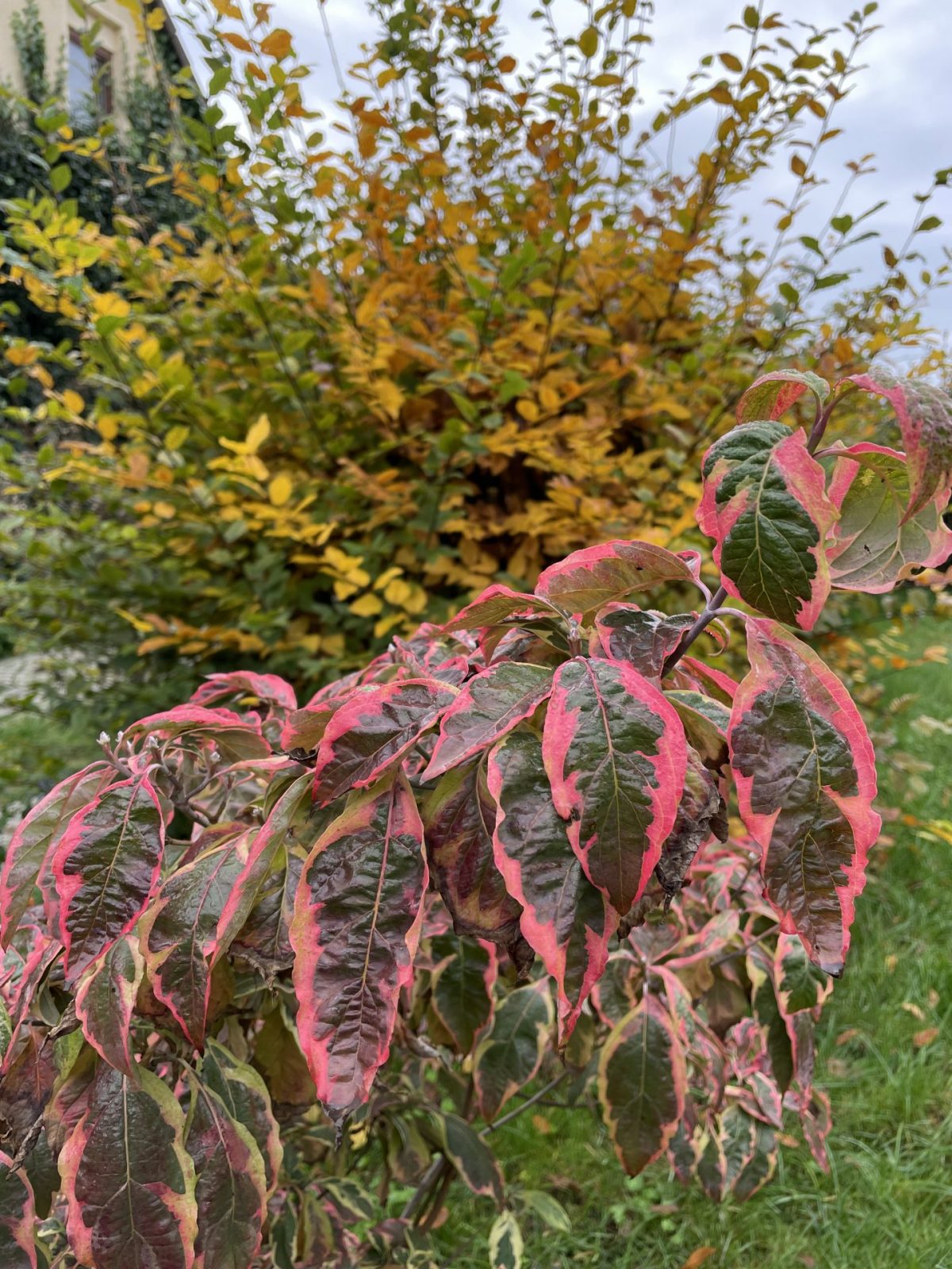 1005BCA5-085B-4141-A4FB-213FDB52A91B