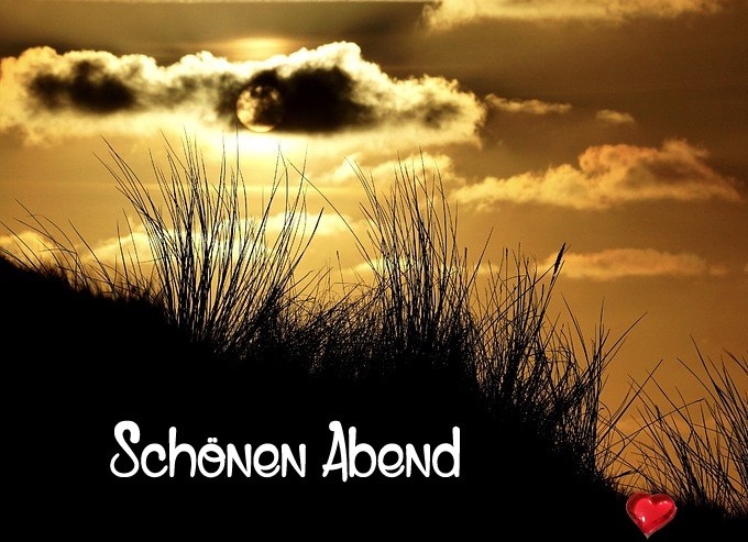 101398315_1431861503684043_8512808507056062464_n