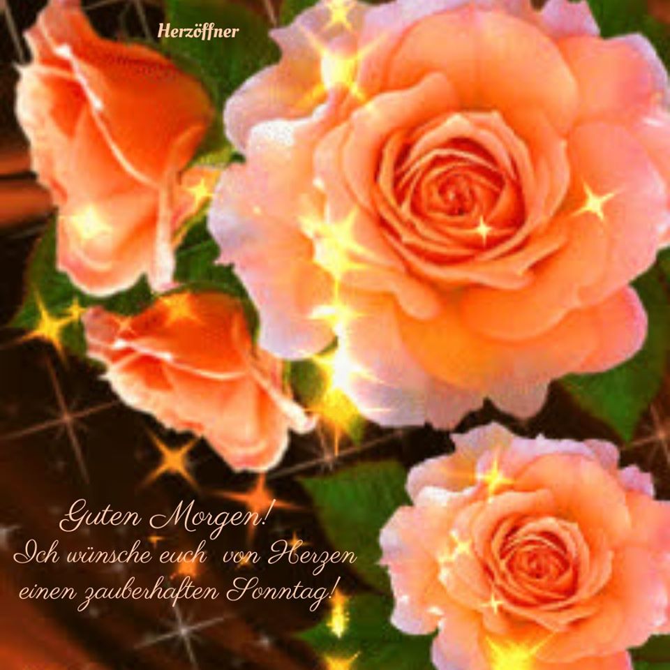 102384524_1625720230925928_2597839042295047608_o