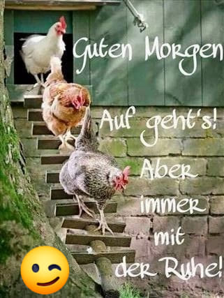 103078288_726694418104693_4884911227674866893_n