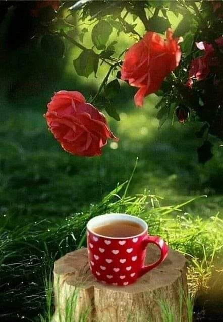 104753290_662858114296856_3499740831429283515_n