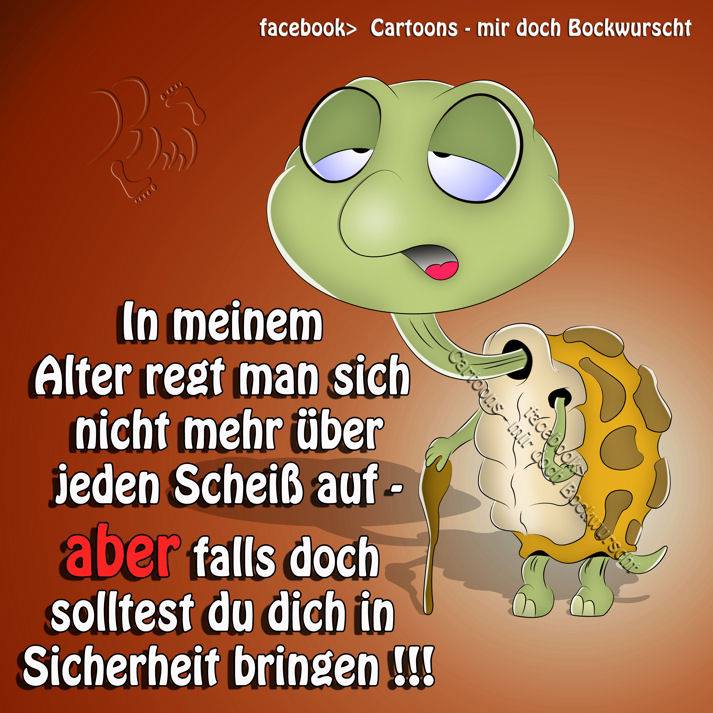 10590601_609529805824540_3729607044383508365_n