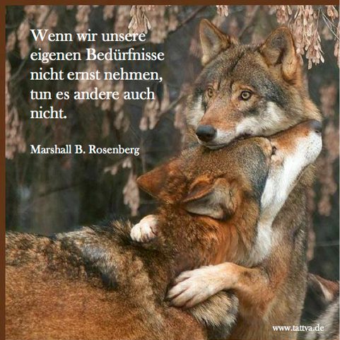 10628149_984564974893783_8824631341314376163_n