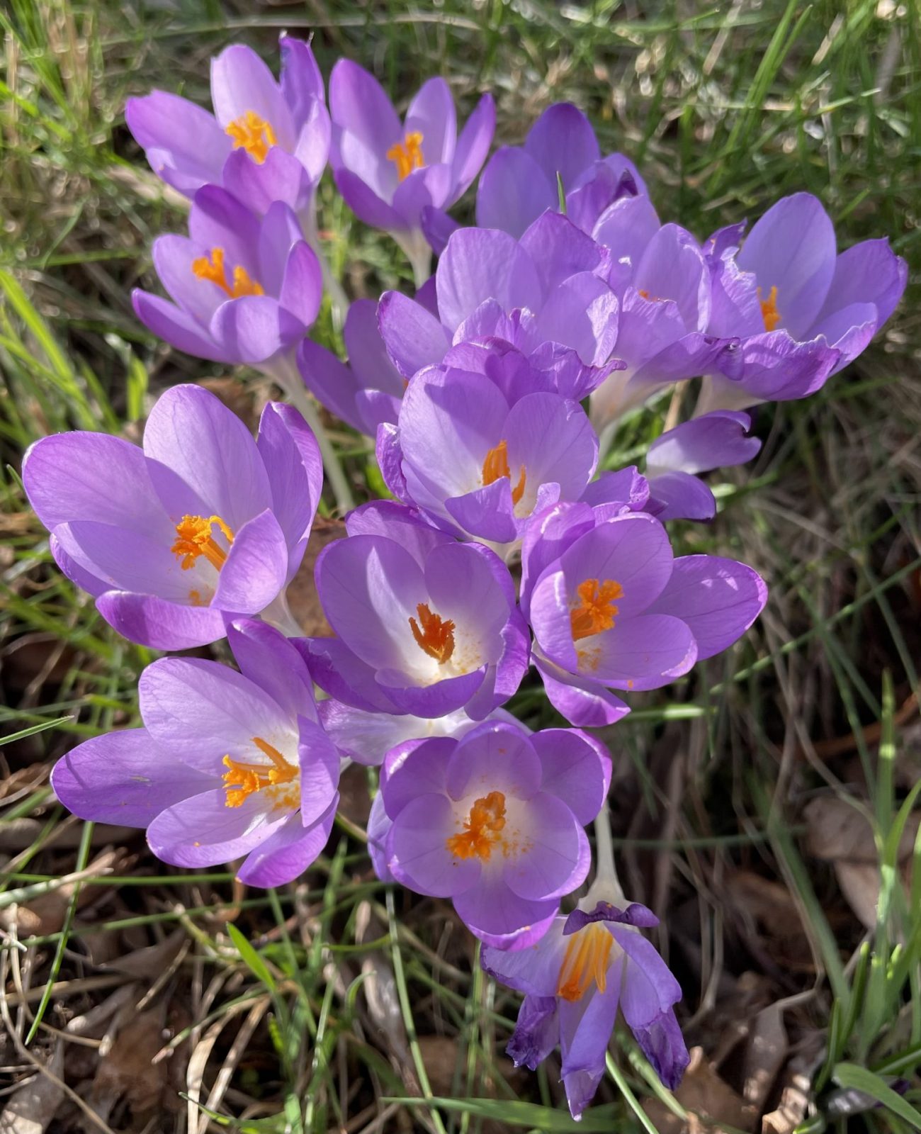 1073B843-7ED8-4E06-8562-2A683D070682