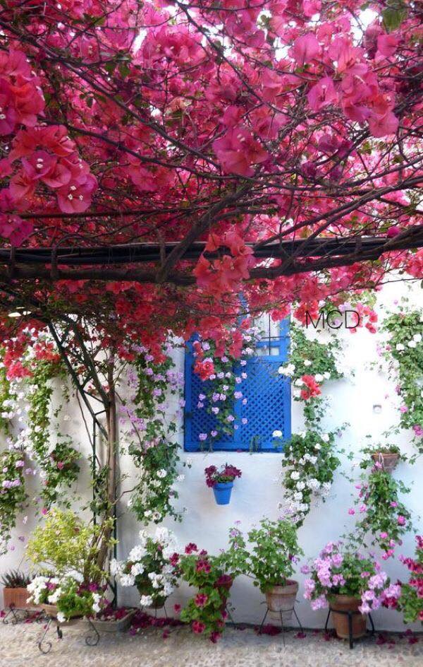 107827409_2664725053765295_639112520584559514_n