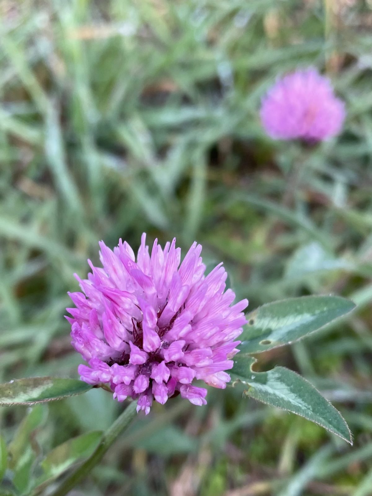 107F45A4-98C6-4A7F-AAD0-3E03D2BF3851