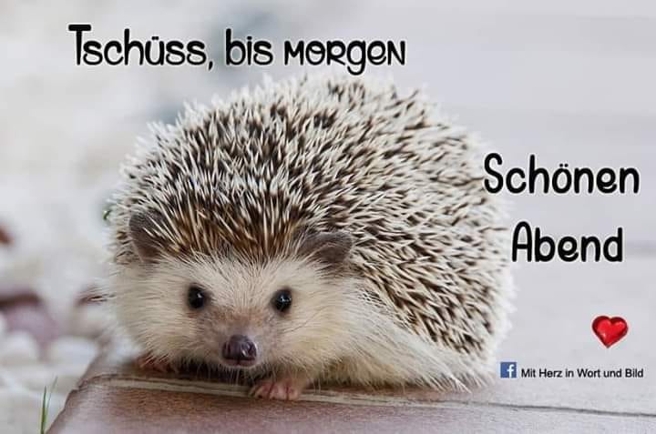 108040888_288663149146117_529900354514233885_n