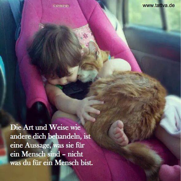 10805813_10203240405594465_7371567300163827308_n