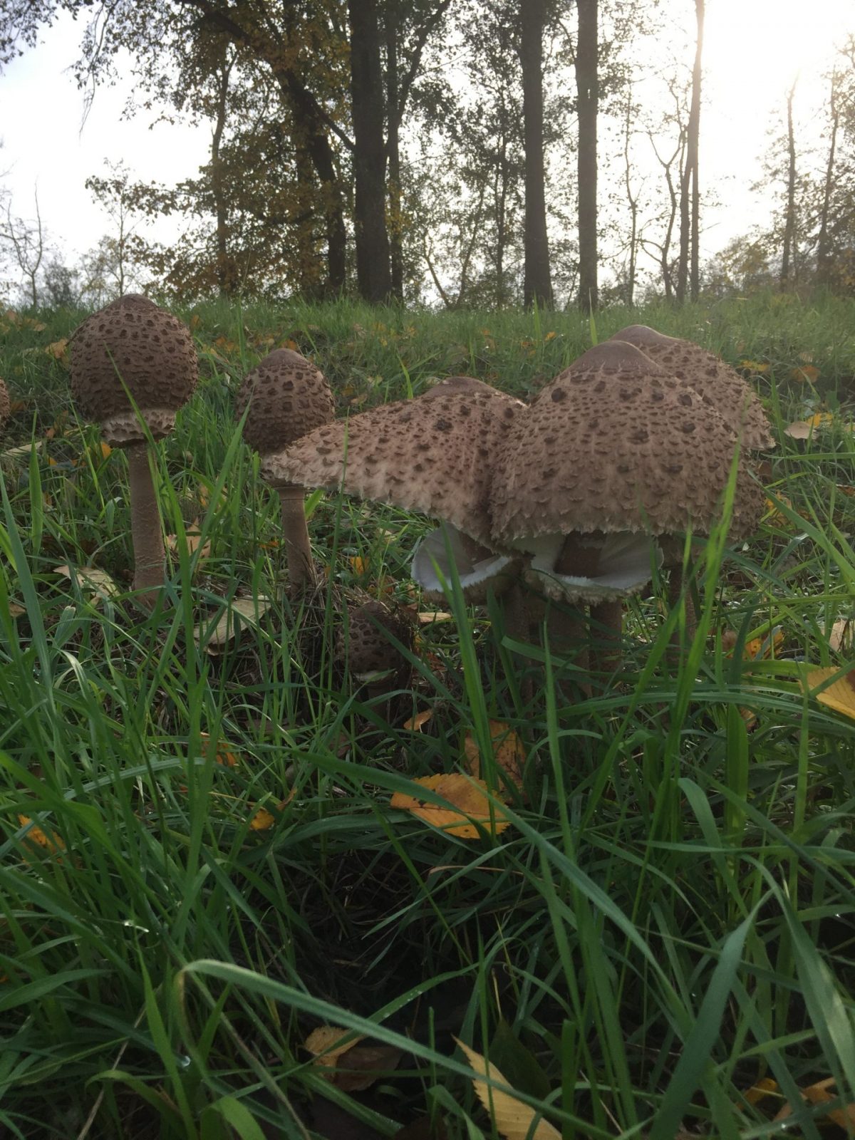 10B3EB89-93FC-4E74-A998-131E0A7F3A81