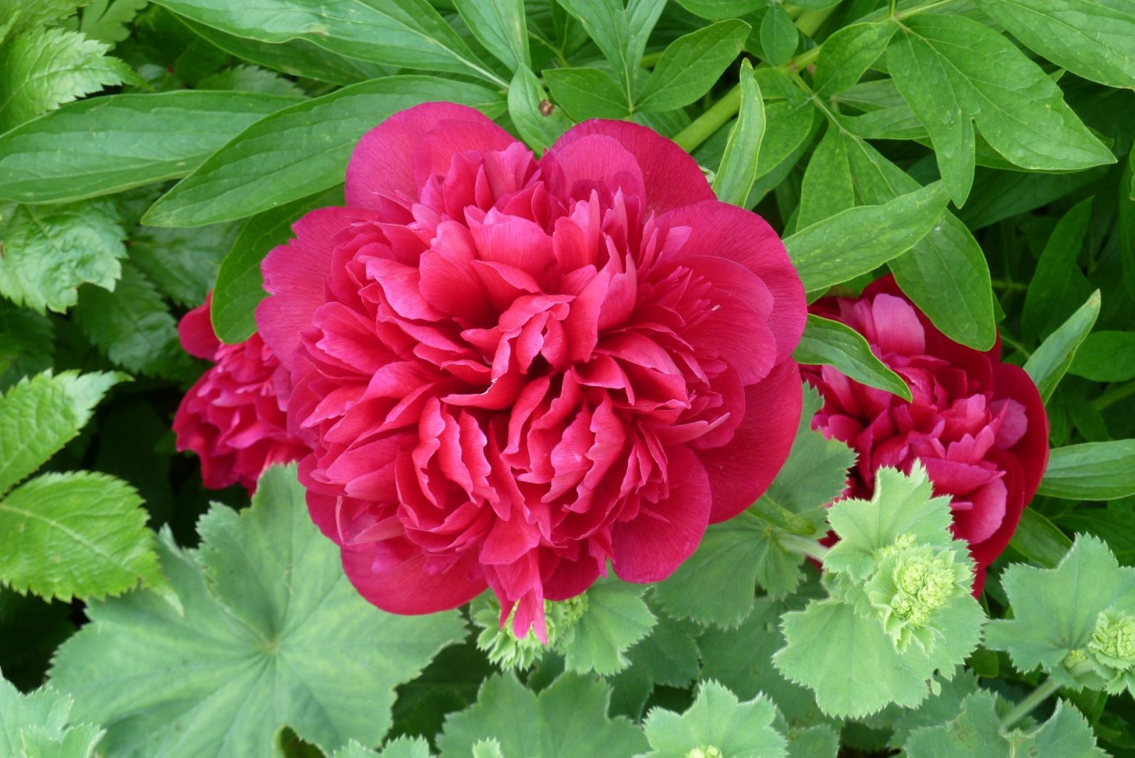 11.6.2010vor der Abreise Seminar Geld (2)