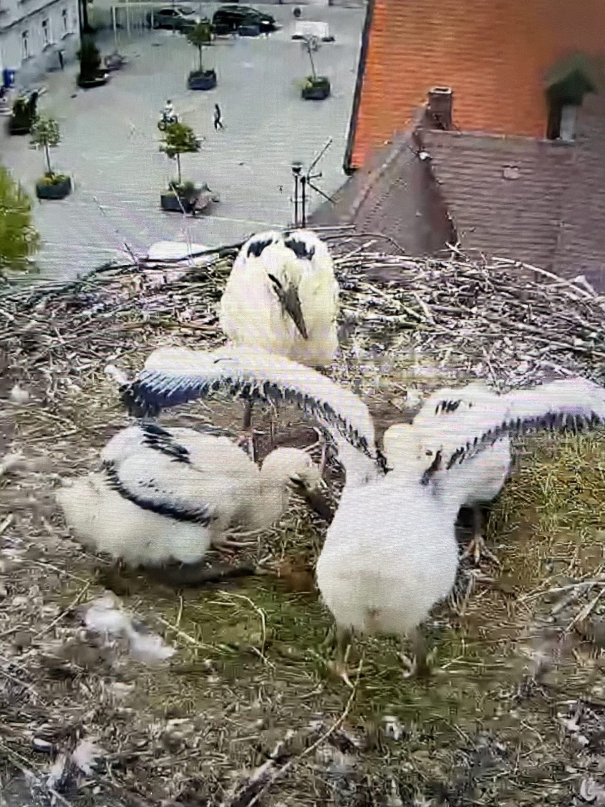 110C819E-0AB3-4546-8928-BD3E07B0DF17