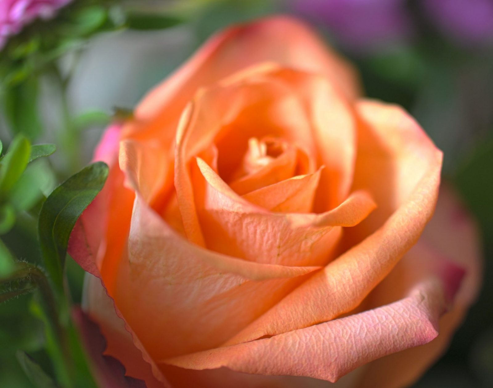 110feffed6673e0736107eb9189f5ab7