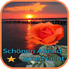 11756495_880771031993768_1139209835_n-4