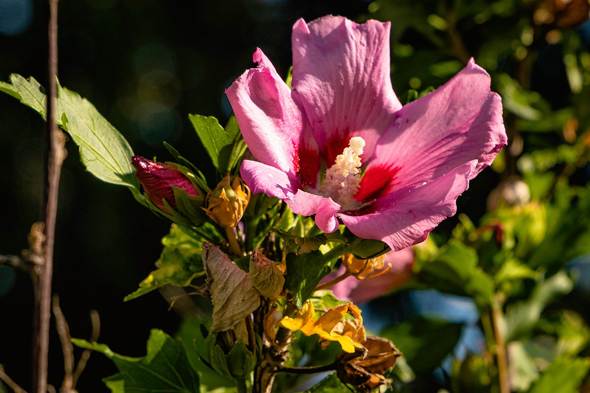 117592497_3258410850915100_7187500645495241287_o