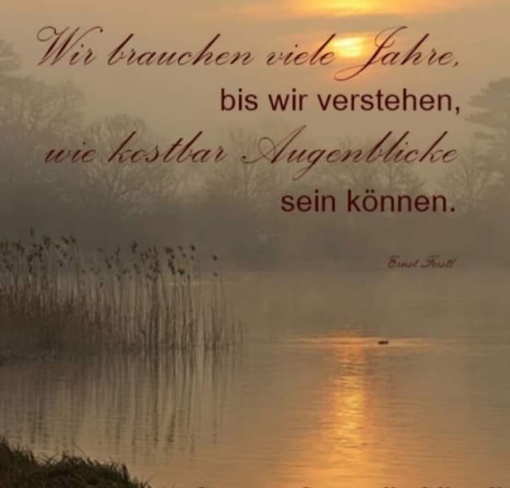 117594146_738277183403796_7272962804403761917_n